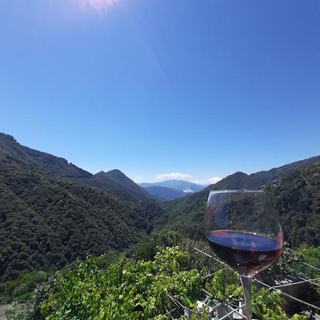 B&B La Locanda Del Cinghiale Aurano Dış mekan fotoğraf