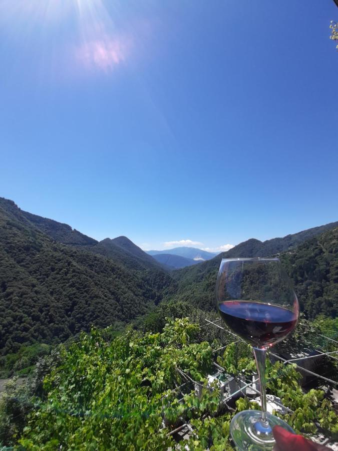 B&B La Locanda Del Cinghiale Aurano Dış mekan fotoğraf