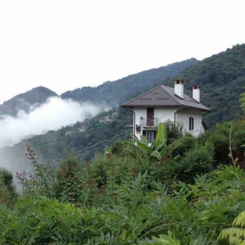 B&B La Locanda Del Cinghiale Aurano Dış mekan fotoğraf